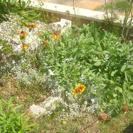 Apartment Gardijan Vodice