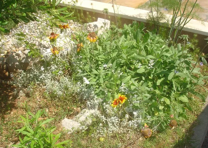 דירה Gardijan וודיצה